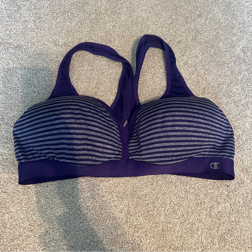 Champion Women's Dark Purple Striped Sports Bra